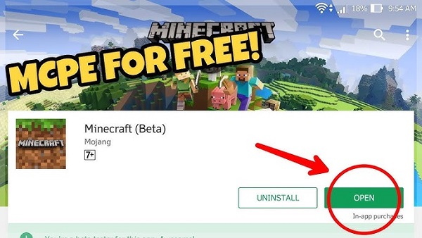 minecraft google play